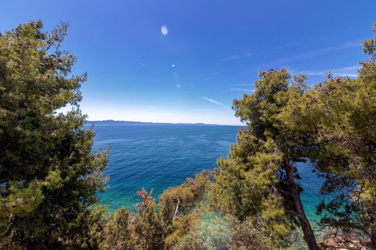 Gdinj Seaside Secluded Apartments Cove Torac, Hvar - 575 מראה חיצוני תמונה